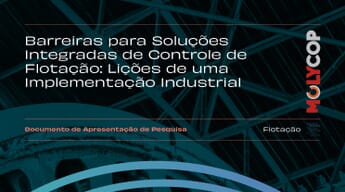 Barreiras para Soluções Integradas de Controle de Flotação